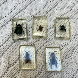 Vintage Insect Specimens in Lucite/Resin Lot of 5 use as little paperweights